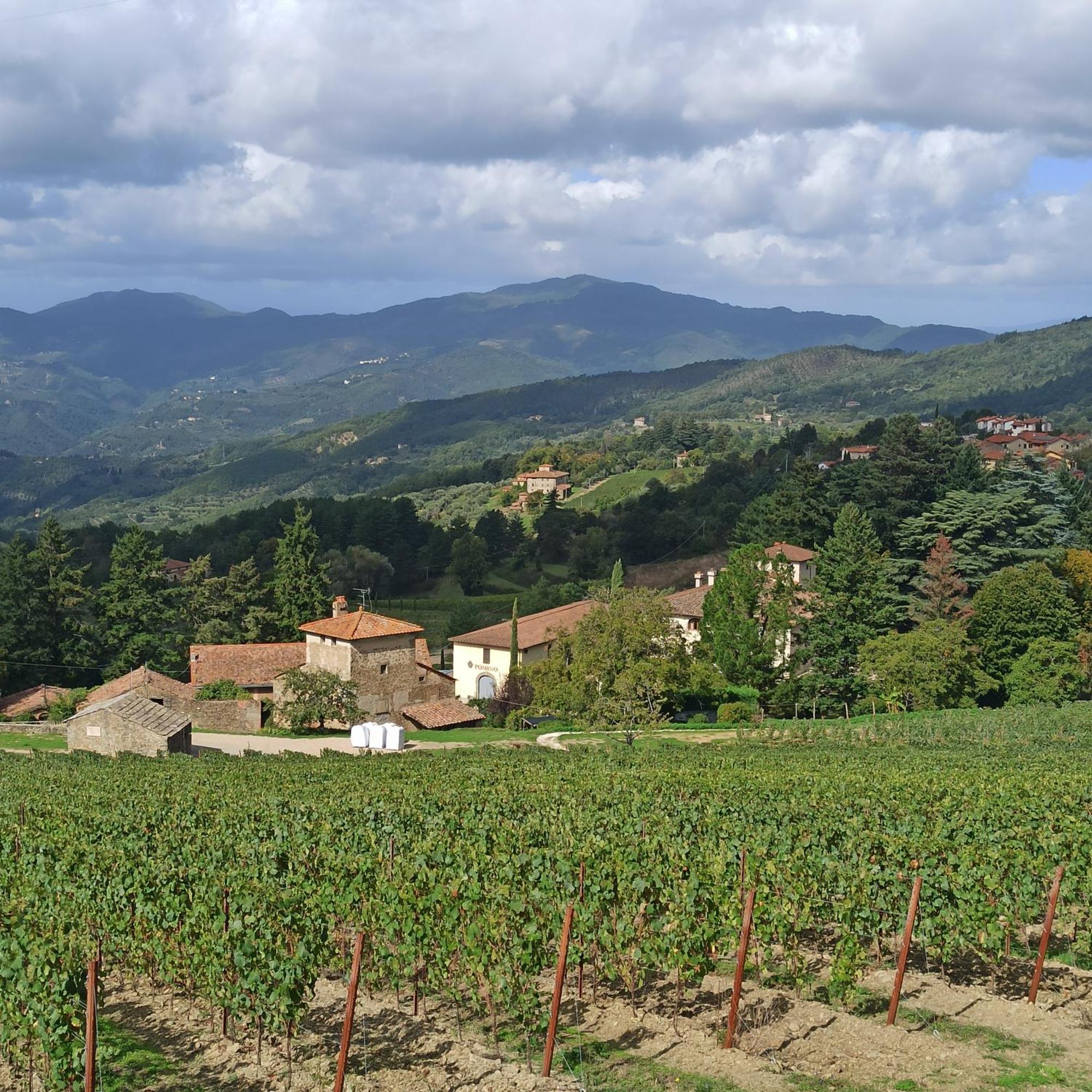 La Casetta Di Campagna Alloggio Nel Chianti Pomino Exterior foto