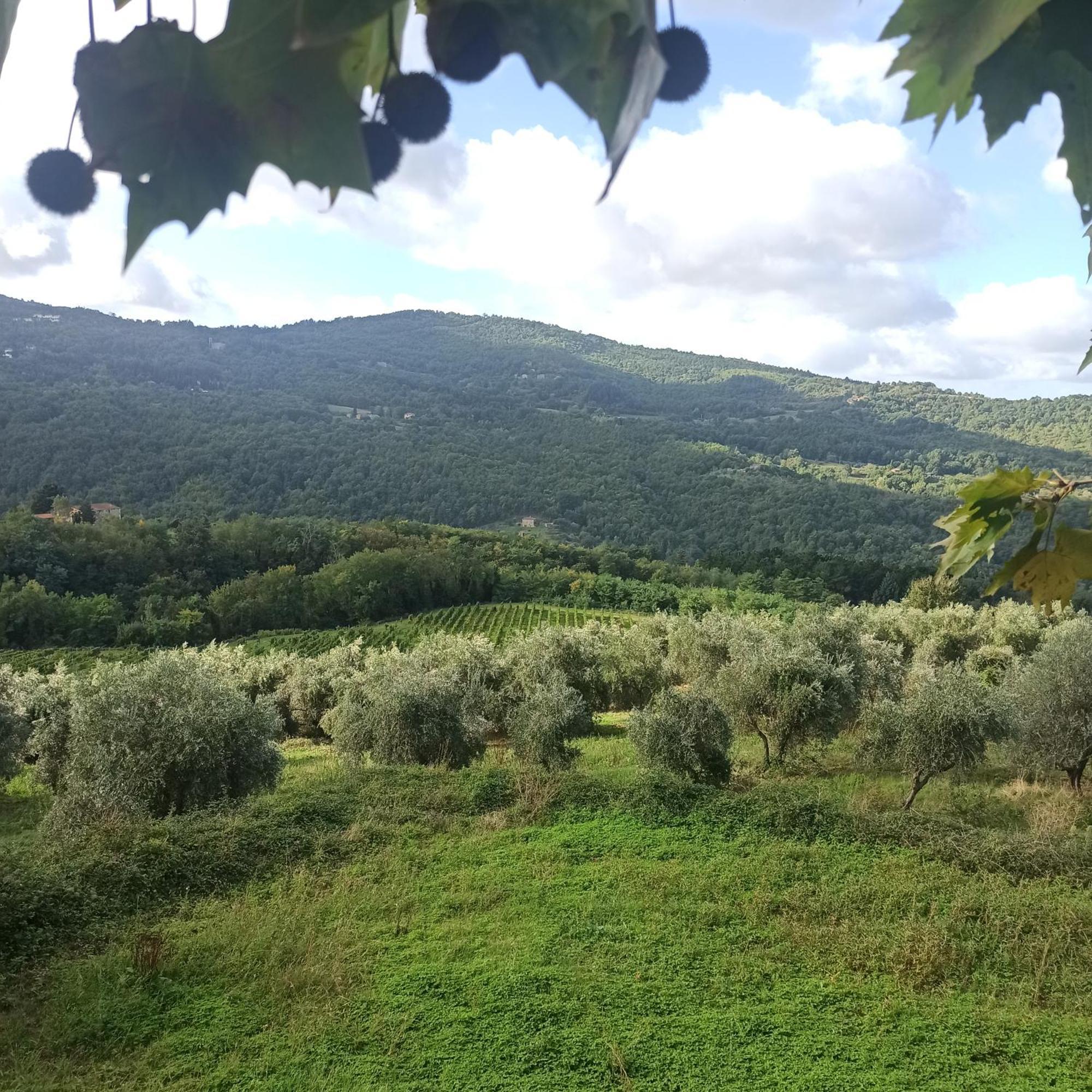 La Casetta Di Campagna Alloggio Nel Chianti Pomino Exterior foto